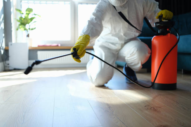 Reliable Odor Removal contractor in San Carlos, AZ by Trauma Clean Pros